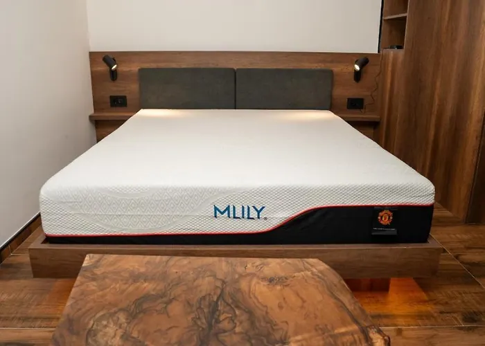 Konkal - Royal Lejlighed Kopaonik