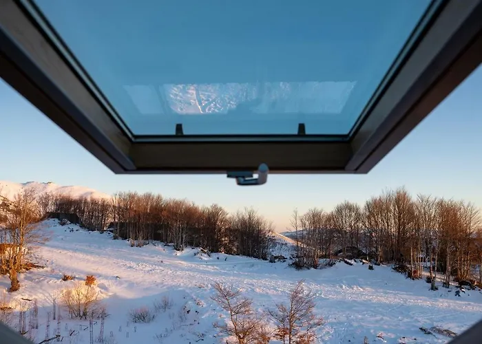 Lejlighed Konkal - Royal